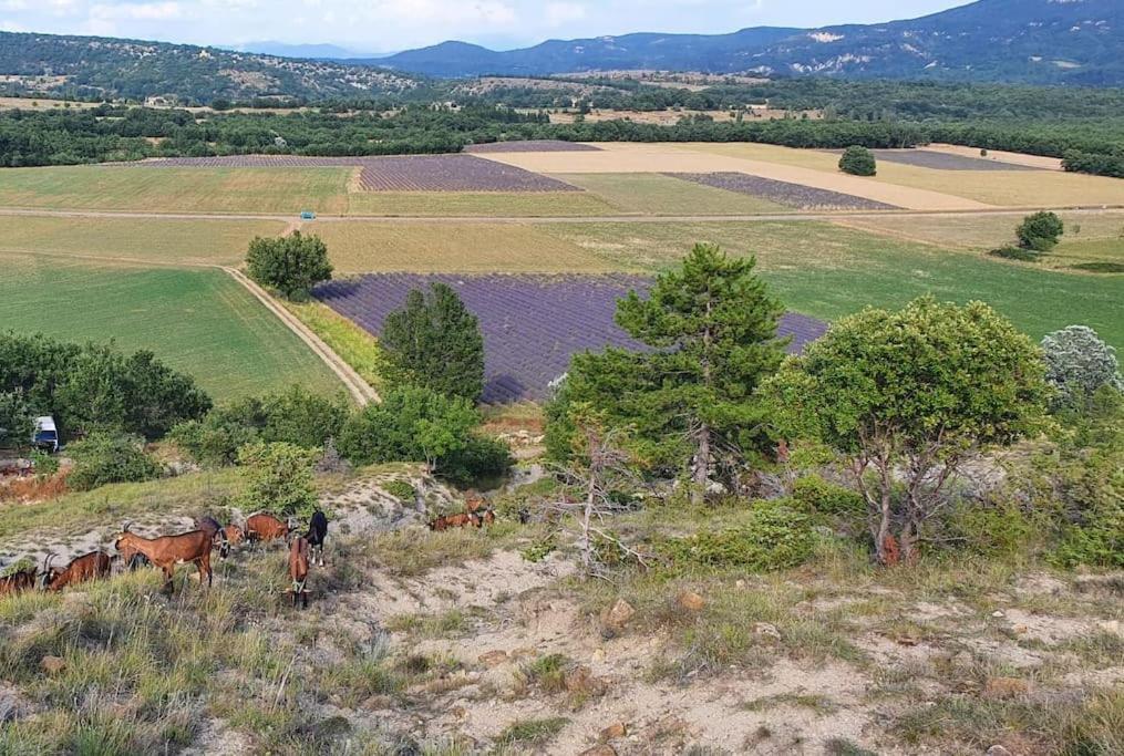Mas Provencal Avec Piscine Et Tennis Villa Ongles